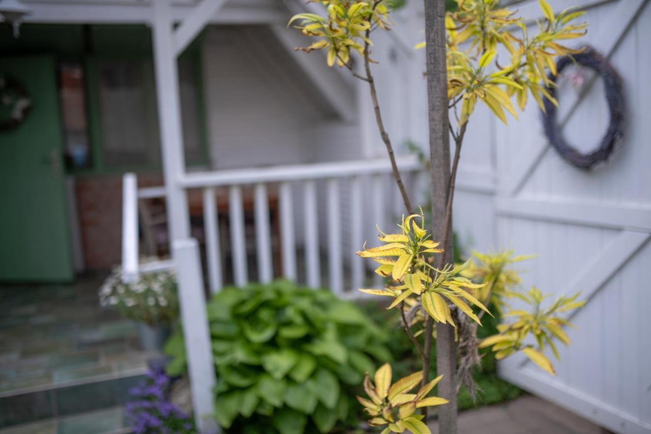 Green Chalet 호텔 Veresegyház 외부 사진