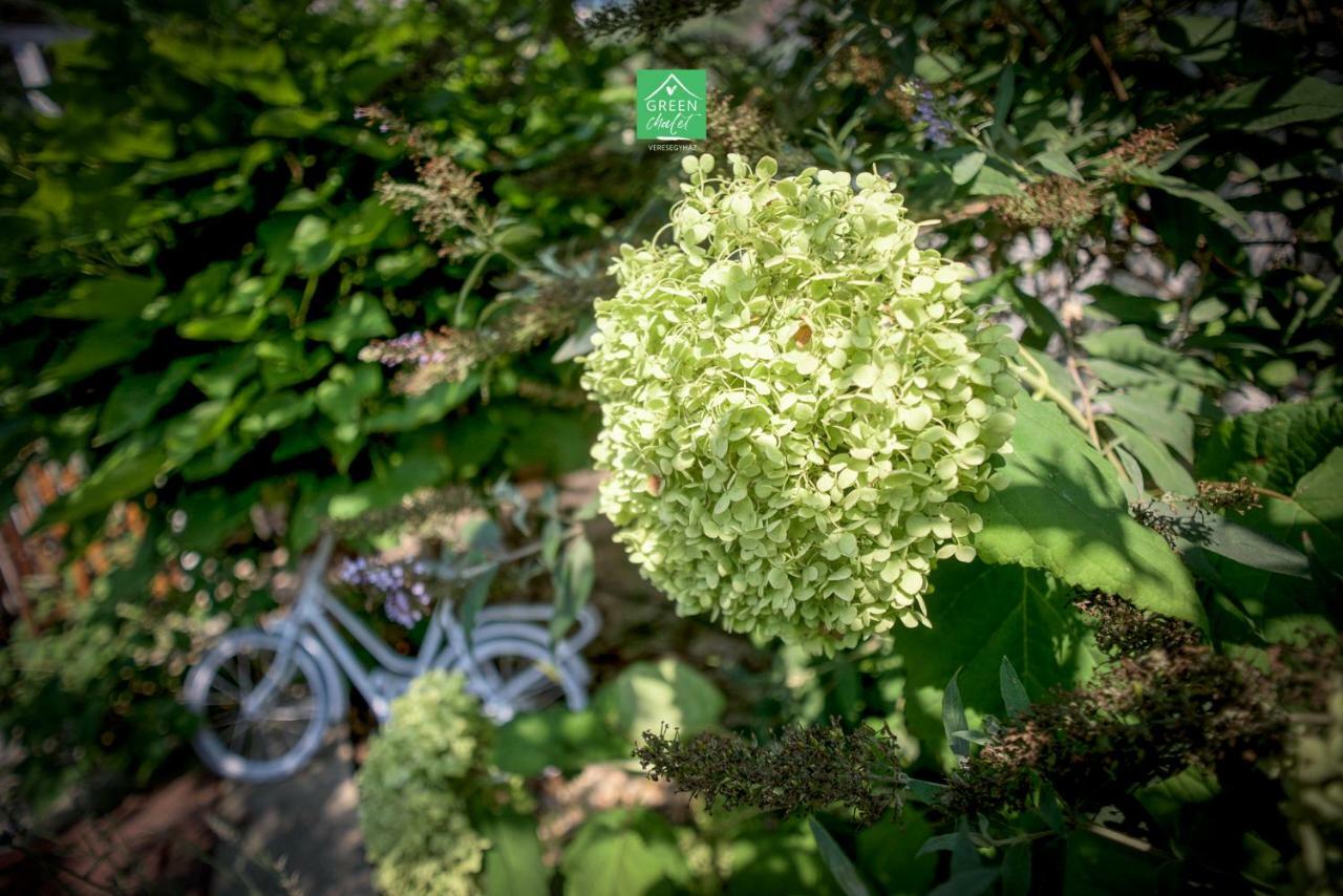 Green Chalet 호텔 Veresegyház 외부 사진